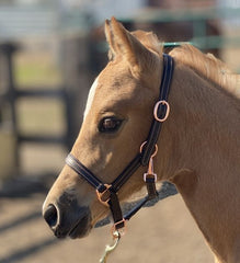 Rose Gold Leather Foal Halter