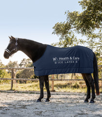 W-Health & Care Ice Layer Rug