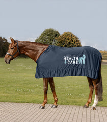 Health + Care Ice Layer Rug