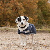Waldhausen Comfort Dog Coat
