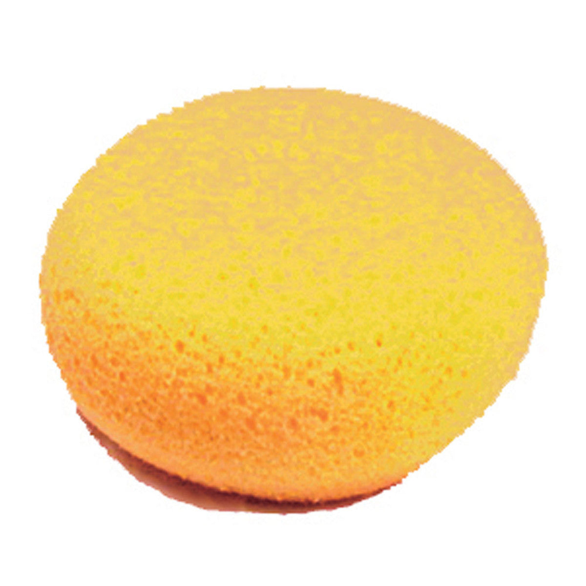 Tack Sponge 2x4"