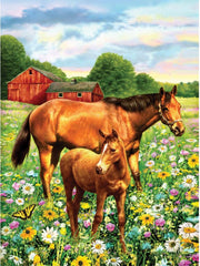 Junior Paint by Number 9x12" - Mare & Foal in Field