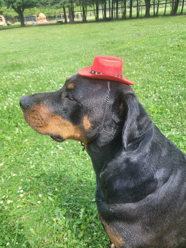Adjustable Dog Cowboy Hat - Red