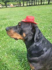 Adjustable Dog Cowboy Hat - Red