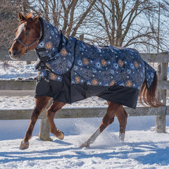 Canadian Horsewear Celestial Rainsheet with Neck