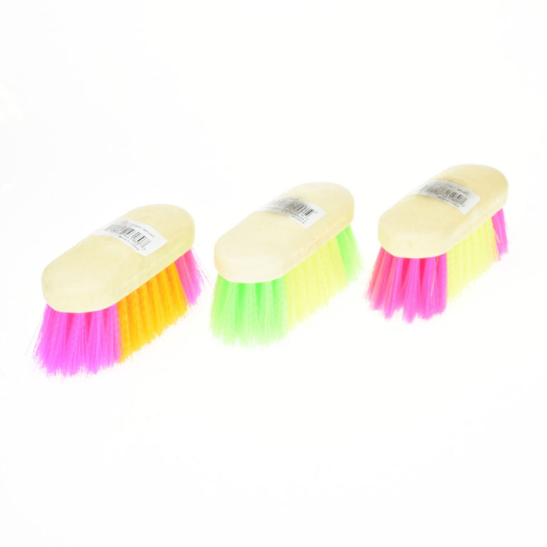 Small Rainbow Dandy Brush