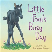 Little Foal's Busy Day