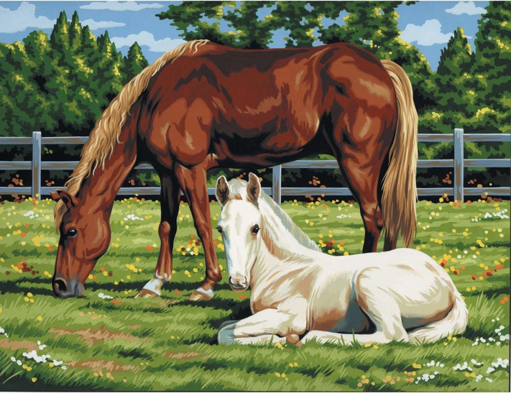 Artist Canvas Paint-by-Number Kit 11x14"- Horses in Field