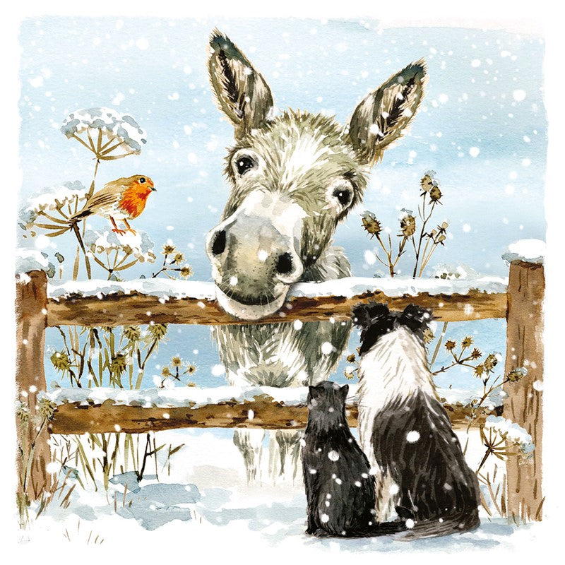 Christmas Cards 10 Pack - Donkey & Friends