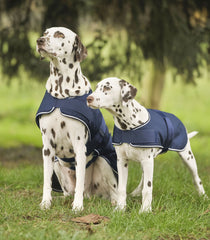 Waldhausen Dog Rainsheet