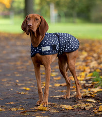 Lightweight Dog Coat