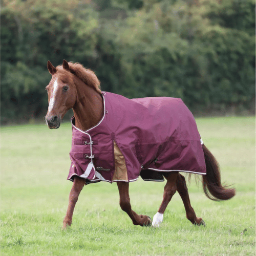 Shires Highlander Plus Turnout 100 gm