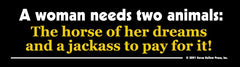 Bumper Sticker - A Woman Needs...