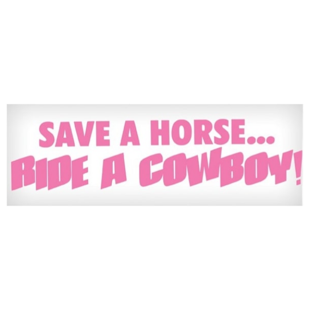 Vinyl Decal - Save a Horse, Ride a Cowboy 3" x 10"