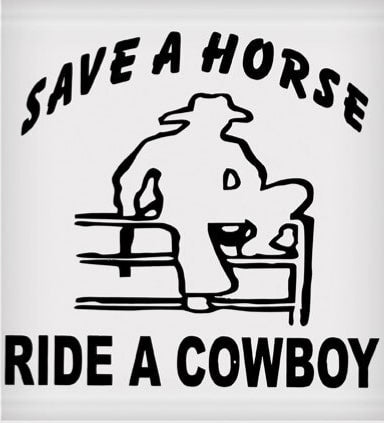 Vinyl Decal - Save a Horse, Ride a Cowboy 6" x 8"