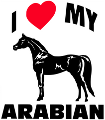 Vinyl Decal - I Love My Arabian 6" x 8"