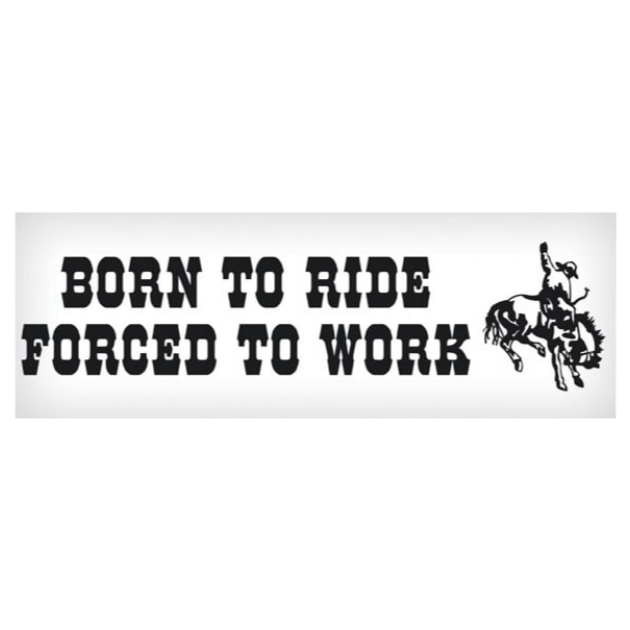 Vinyl Decal - Born to Ride, Forced to Work 3" x 10"