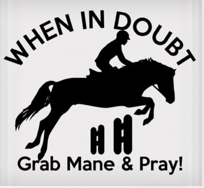 Vinyl Decal - When in Doubt Grab Mane & Pray 6" x 8"