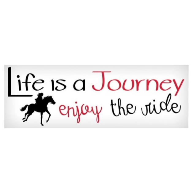 Vinyl Decal - Life is a Journey, Enjoy the Ride - 3"x10"