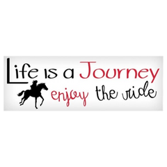 Vinyl Decal - Life is a Journey, Enjoy the Ride - 3"x10"