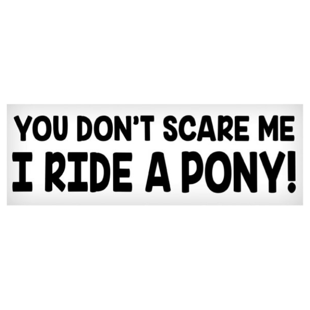 Vinyl Decal - You Don't Scare Me, I Ride a Pony - 3"x10"