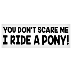 Vinyl Decal - You Don't Scare Me, I Ride a Pony - 3"x10"