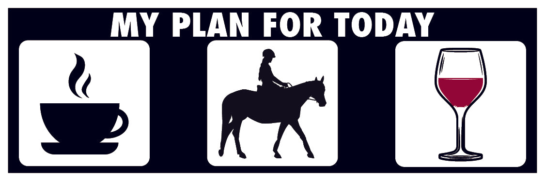 Vinyl Decal - My Plan For Today