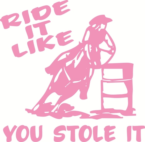 Vinyl Decal - Ride it Like You Stole It 6" x 8"