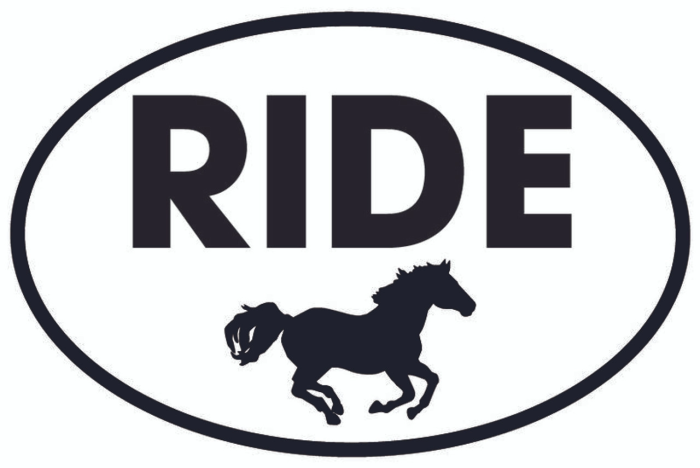 Vinyl Decal - RIDE Oval Sticker