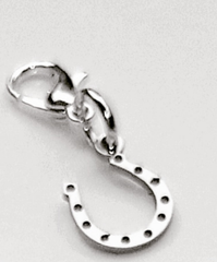 Horseshoe Charm