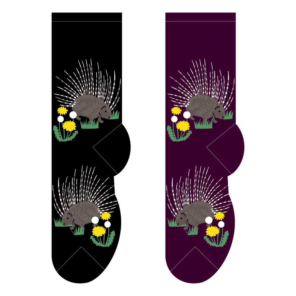 Foozys Ladies Socks - Porcupine