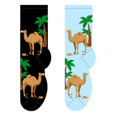 Foozys Ladies Socks - Camels