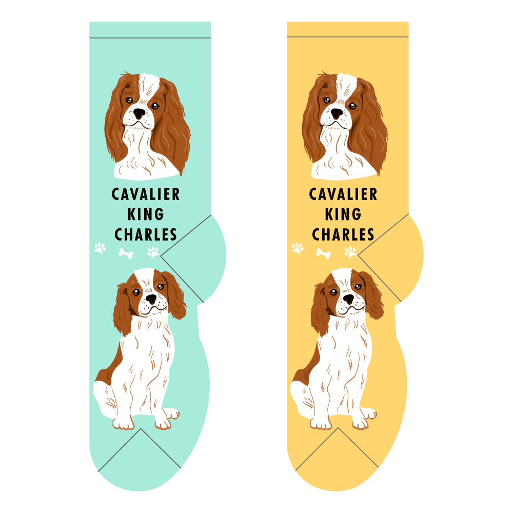 Foozys Ladies Socks - Cavalier King Charles