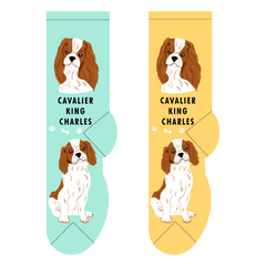 Foozys Ladies Socks - Cavalier King Charles