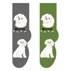 Foozys Ladies Socks - Maltese