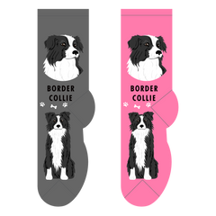 Foozys Ladies Socks - Border Collie