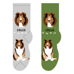 Foozys Ladies Socks - Collie