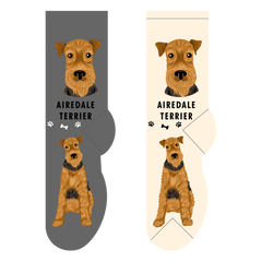 Foozys Ladies Socks - Airedale Terrier