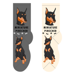 Foozys Ladies Socks - Miniature Pinscher