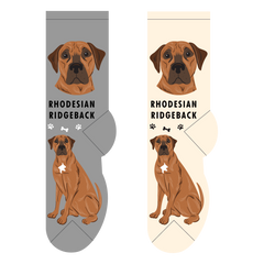 Foozys Ladies Socks - Rhodesian Ridgeback