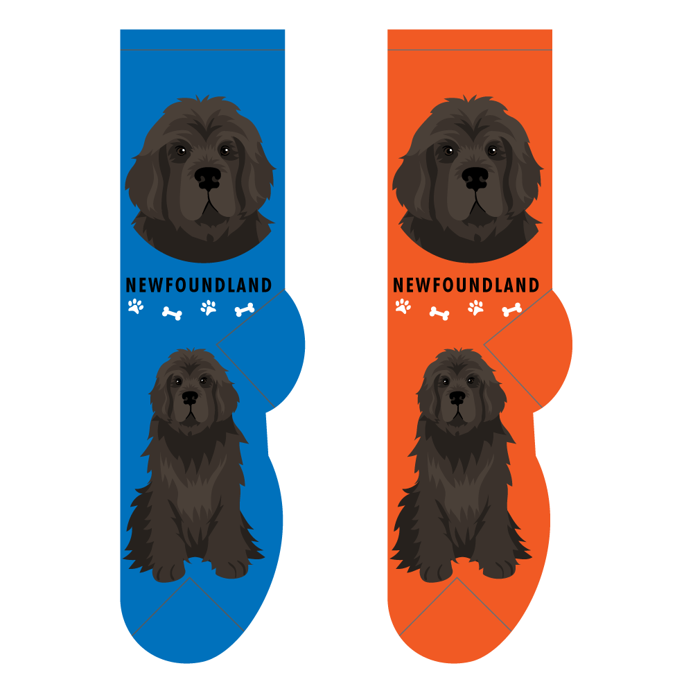 Foozys Ladies Socks - Newfoundland