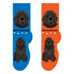 Foozys Ladies Socks - Newfoundland