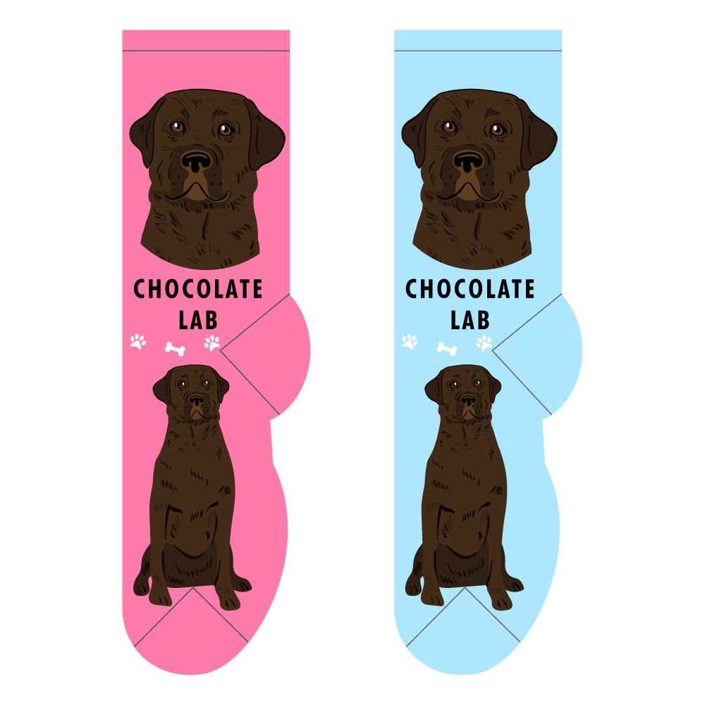 Foozys Ladies Socks - Chocolate Lab