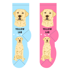 Foozys Ladies Socks - Yellow Lab