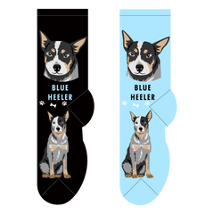 Foozys Ladies Socks - Blue Heeler