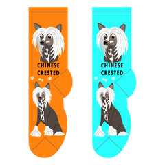 Foozys Ladies Socks - Chinese Crested