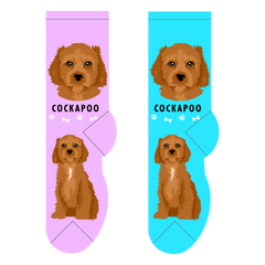 Foozys Ladies Socks - Cockapoo