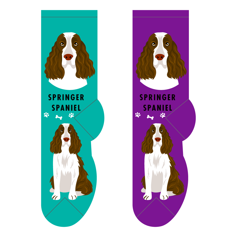 Foozys Ladies Socks - Springer Spaniel