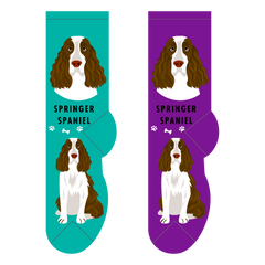 Foozys Ladies Socks - Springer Spaniel