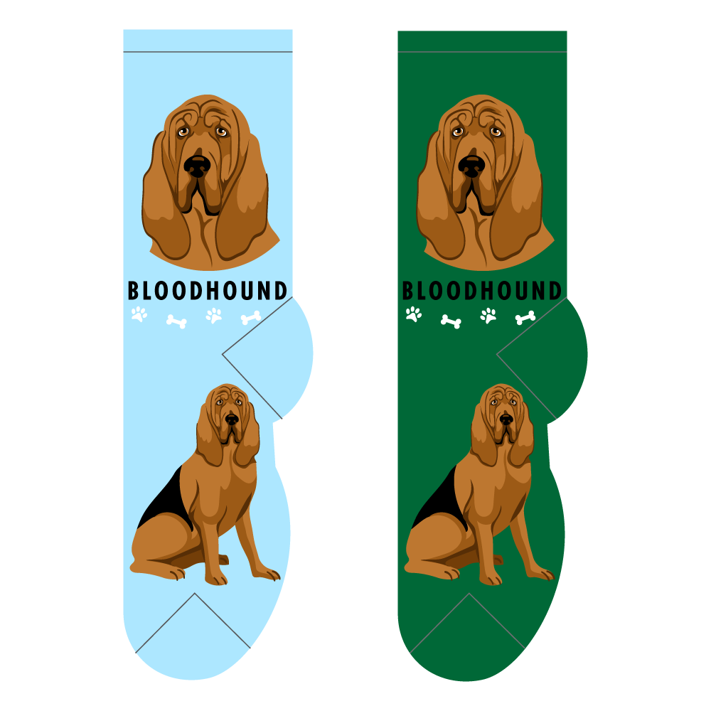 Foozys Ladies Socks - Bloodhound